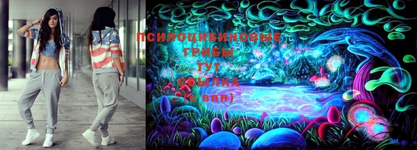 каннабис Абаза