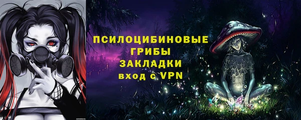ГАЛЛЮЦИНОГЕННЫЕ ГРИБЫ Абдулино